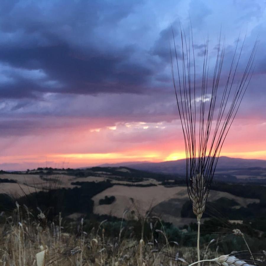 Agriturismo Incanto Del Fiume Villa Pomarance Kültér fotó