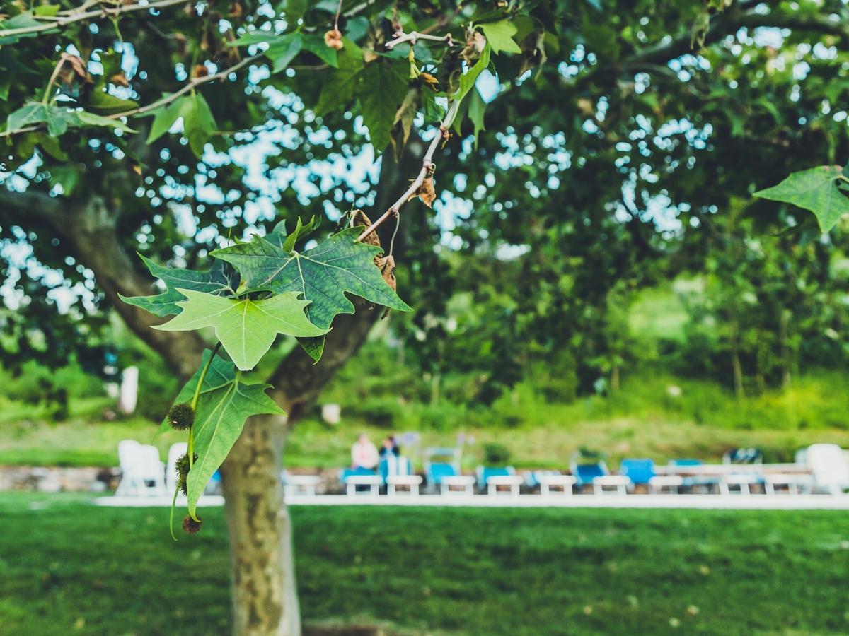 Agriturismo Incanto Del Fiume Villa Pomarance Kültér fotó